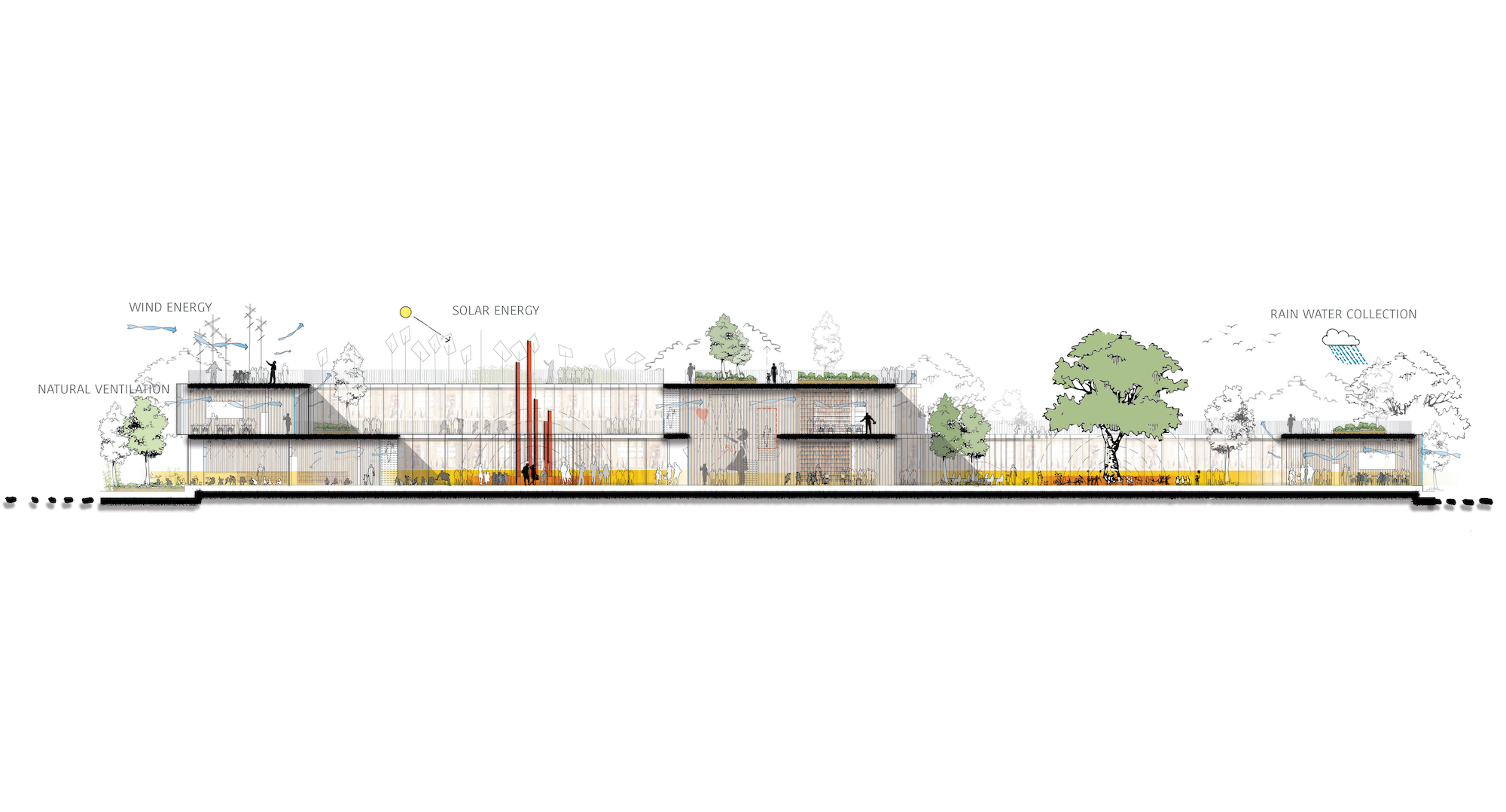 The Tree-House School: Sustainable And M|Visualization